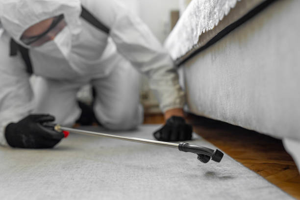 Professional Termite Control technician working in Brillion, WI