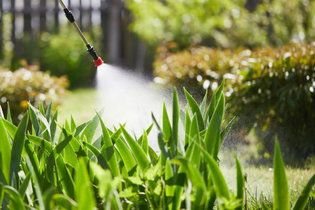 24/7 Emergency Termite Control experts in Brillion, WI