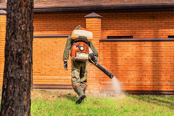 Top rated local Termite Control specialists in Brillion, WI